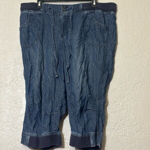 Lane Bryant 16 Blue Denim Shorts